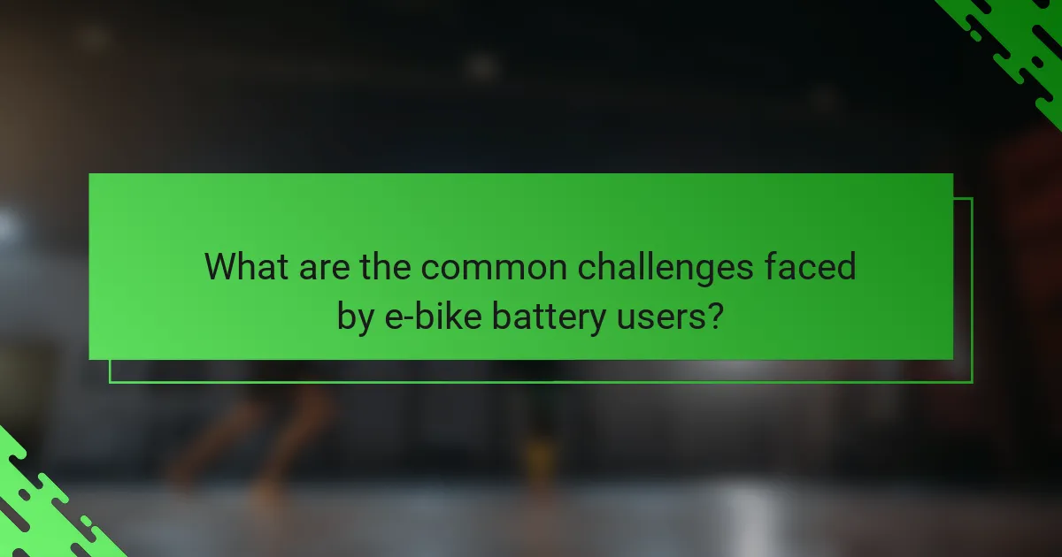 What are the common challenges faced by e-bike battery users?