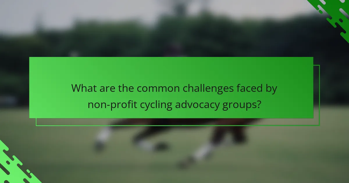 What are the common challenges faced by non-profit cycling advocacy groups?