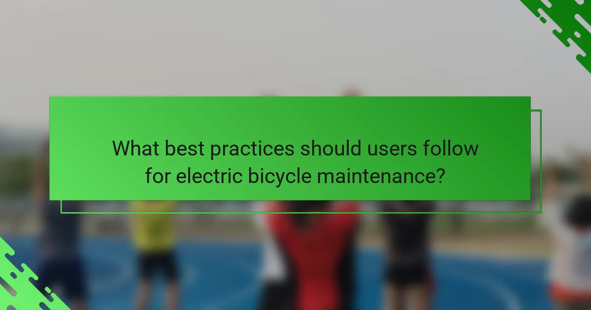 What best practices should users follow for electric bicycle maintenance?