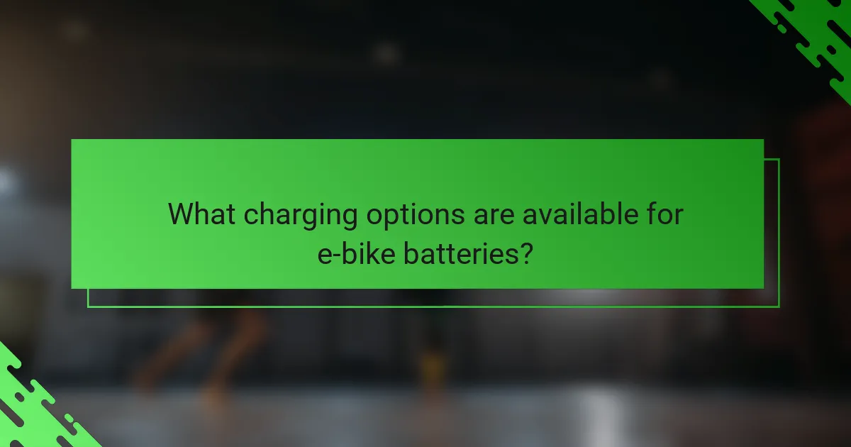 What charging options are available for e-bike batteries?