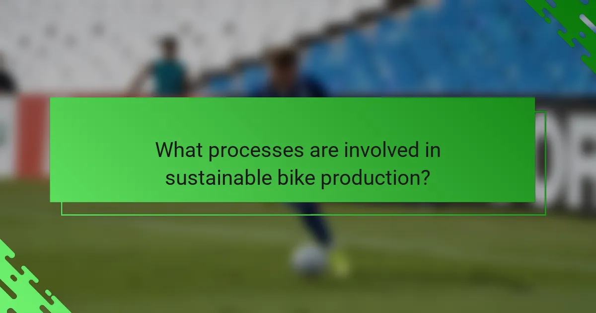 What processes are involved in sustainable bike production?