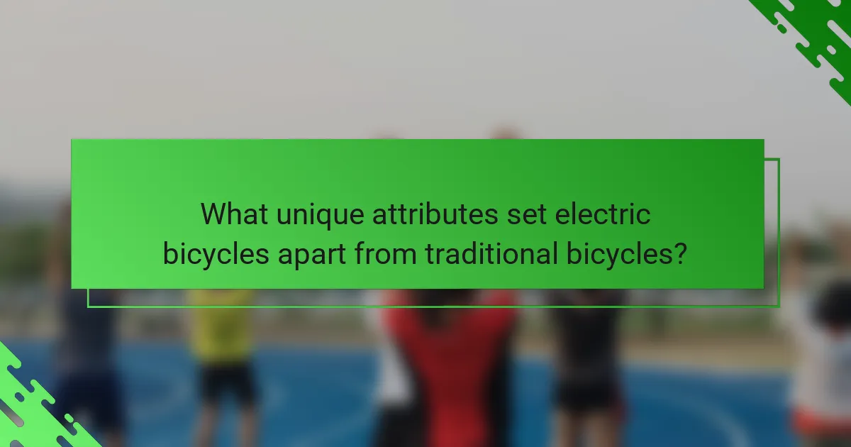 What unique attributes set electric bicycles apart from traditional bicycles?