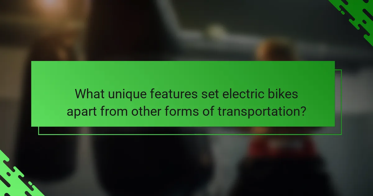 What unique features set electric bikes apart from other forms of transportation?